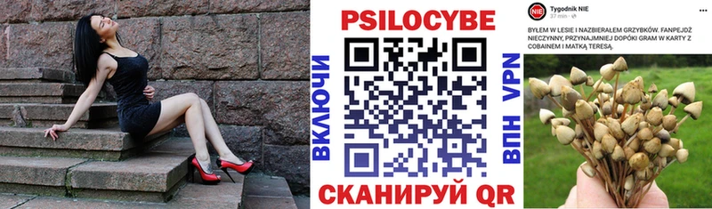 Галлюциногенные грибы Psilocybe Купить где Миллерово